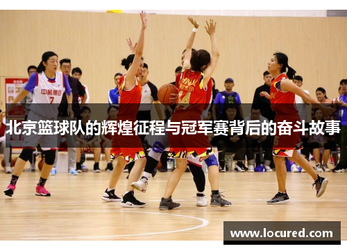 北京篮球队的辉煌征程与冠军赛背后的奋斗故事
