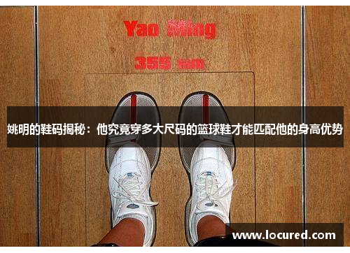 姚明的鞋码揭秘：他究竟穿多大尺码的篮球鞋才能匹配他的身高优势